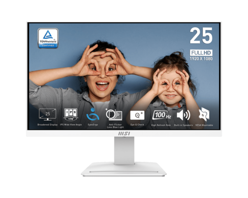 MSI PRO MP253W DP IPS
