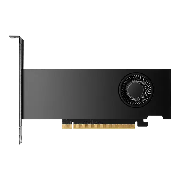 NVIDIA RTX 2000 Ada 16GB