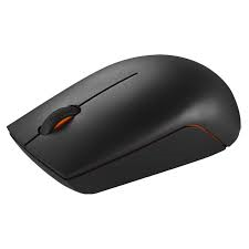 Lenovo 300 Wireless Compact Mouse – WW